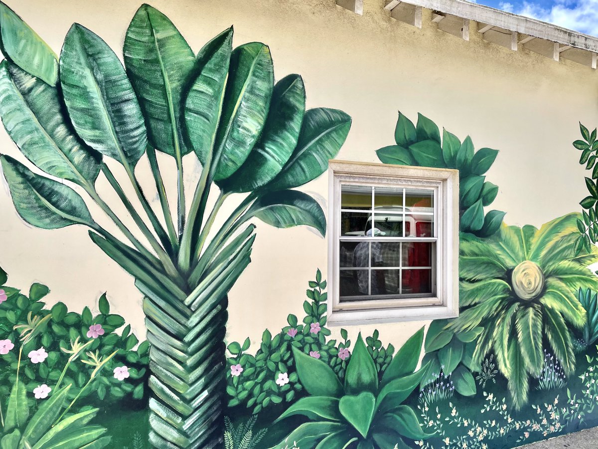 SashaEats's tweet photo. Happy #StreetArtSaturday from Hamilton, Bermuda 🇧🇲 

#StreetArt #PublicArt #Bermuda #art #SashaInBermuda #travel https://t.co/678ik3tdab