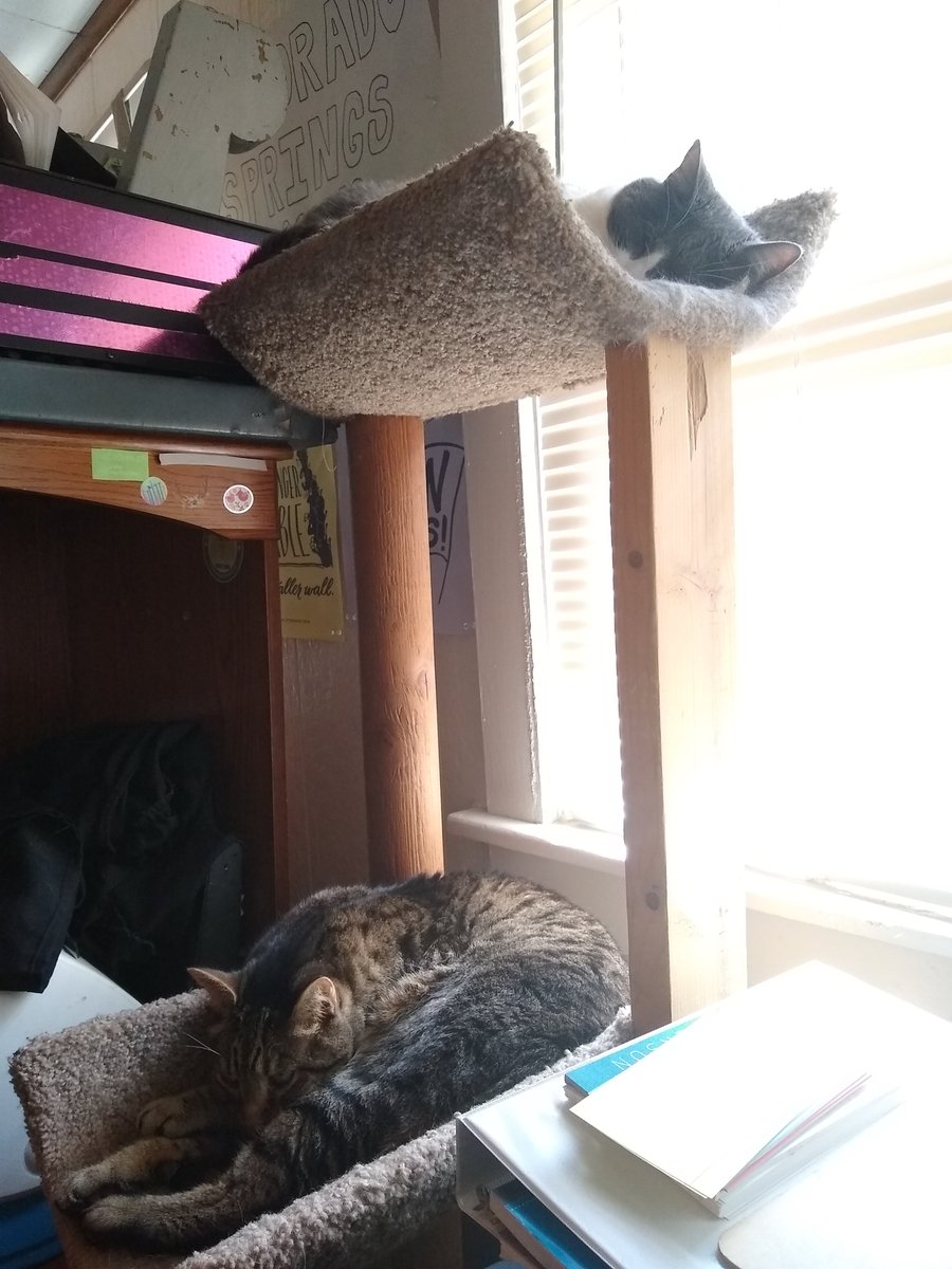 The view from my new home office. One more week at my old job and then this will be my full-time workspace.