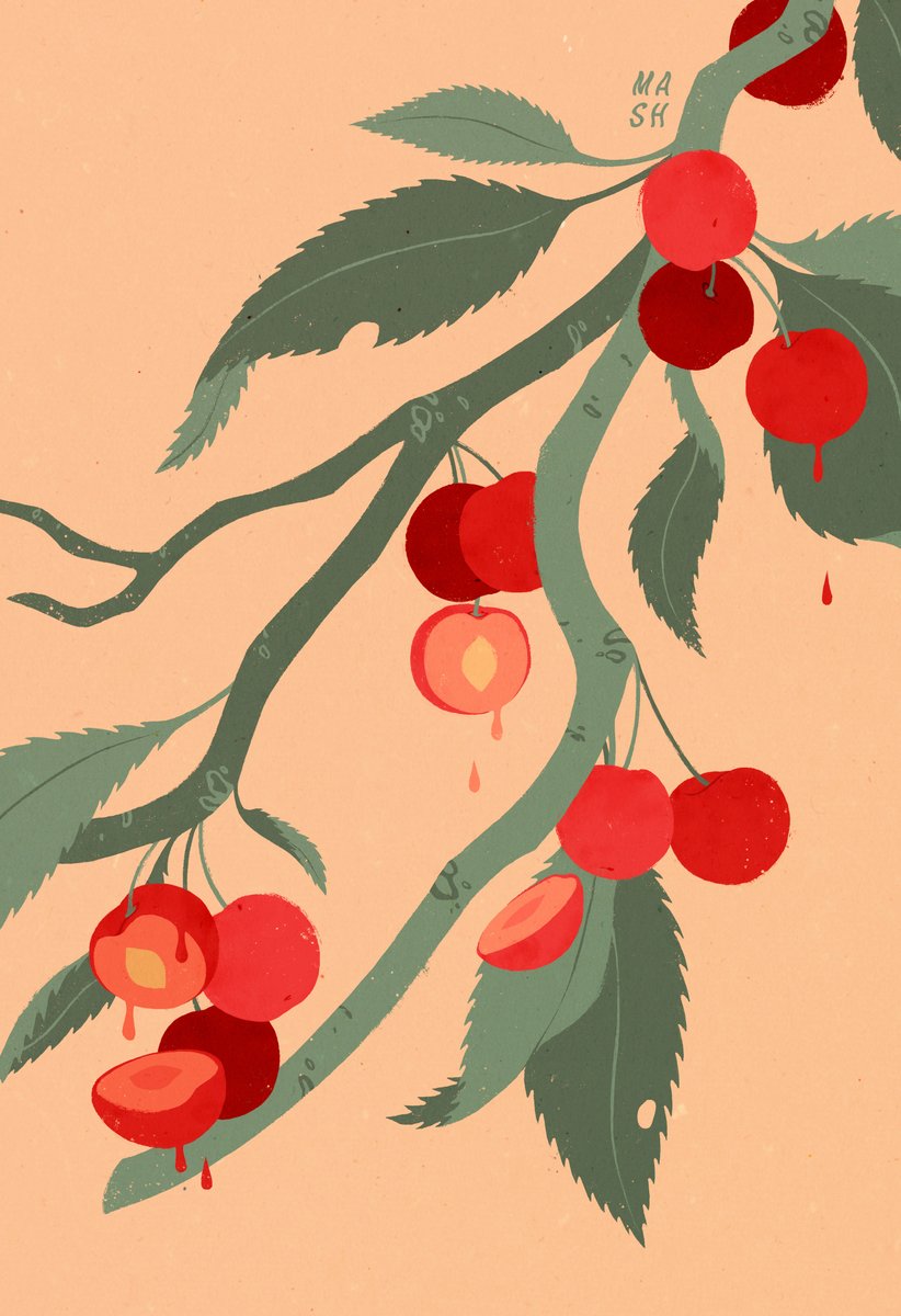 no humans food leaf simple background fruit signature plant  illustration images