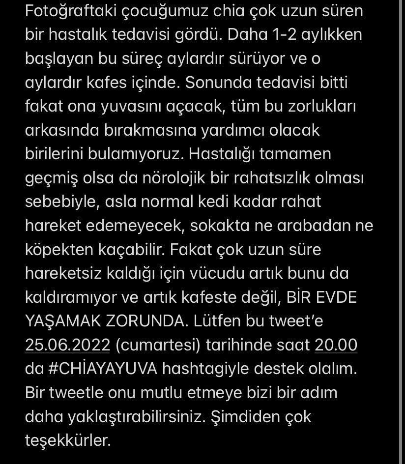 #CHİAYAYUVA bu güzel kız sokakta kalamaz, evde bakılması gerekiyor. Lütfen onun onu  çok sevecek bir yuva bulması için yardımcı olalım 🙏