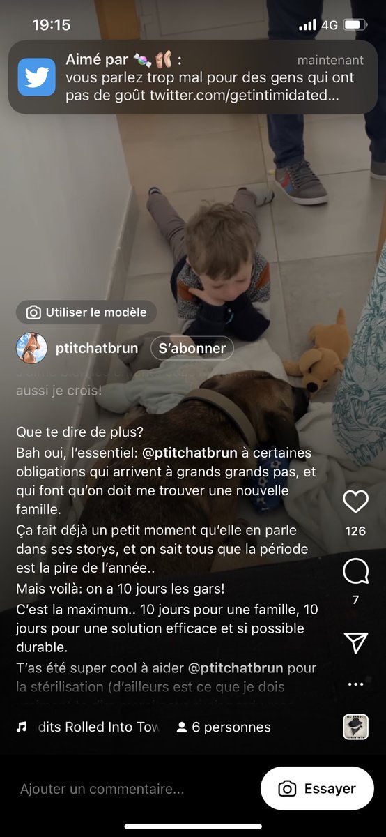 cottontwice's tweet photo. Bonjour! Ce chien doit impérativement trouver un foyer dans max 10j, sinon il part en refuge et on connaît les chances d’adoption pour un gros chien.. est-ce que vous pourriez partager s’il vous plaît afin de l’aider? Merci! 🙏🏼(il se trouve à Pessac en Gironde)  le lien insta ⬇️ https://t.co/SmWmsbQDpI