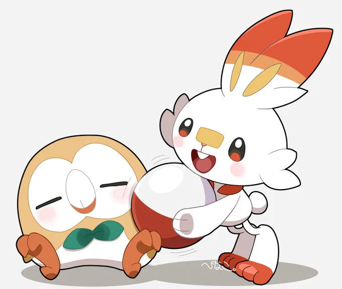 🦉🐰🏐 