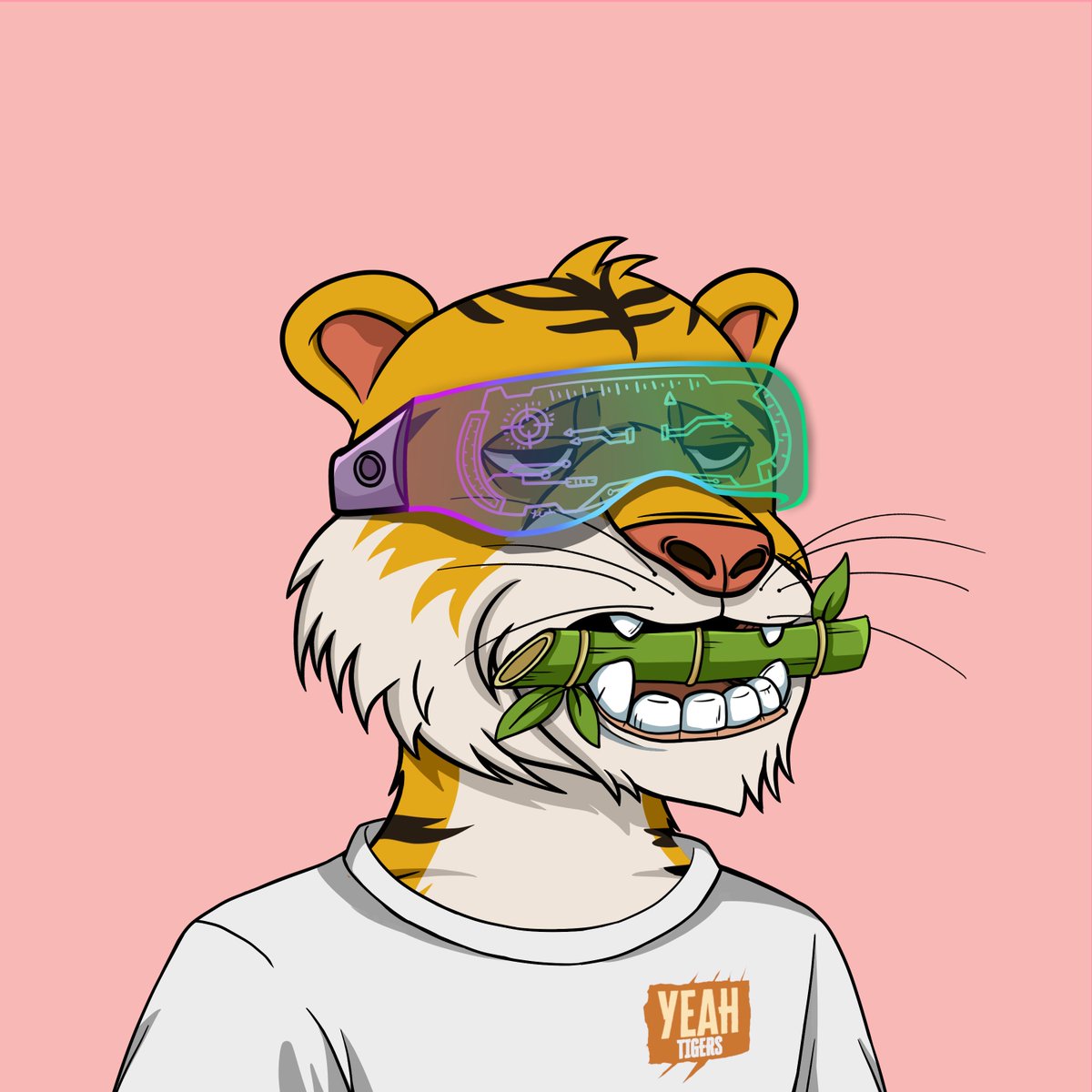 pingpiing's tweet photo. @yeahtigers @MagicEden make it happen👀 #YeahTigers https://t.co/DiUnn3PLb6