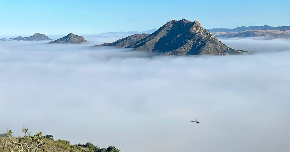 SLO Sisters &amp; dragonflies. A beautiful escape. 🌸
#sanluisobispo
<a href="/SLOTribune/">The Tribune</a> <a href="/slocountyinfo/">slocounty.info</a> <a href="/VisitSLOCAL/">Visit SLO CAL©</a> <a href="/DiscoverSLO/">Visit SanLuisObispo</a> <a href="/CityofSLO/">San Luis Obispo</a> <a href="/KSBY/">KSBY</a> <a href="/SLOGuide/">San Luis Obispo Guide</a> <a href="/slochamber/">SLO Chamber</a> <a href="/slonews/">SLO News</a>