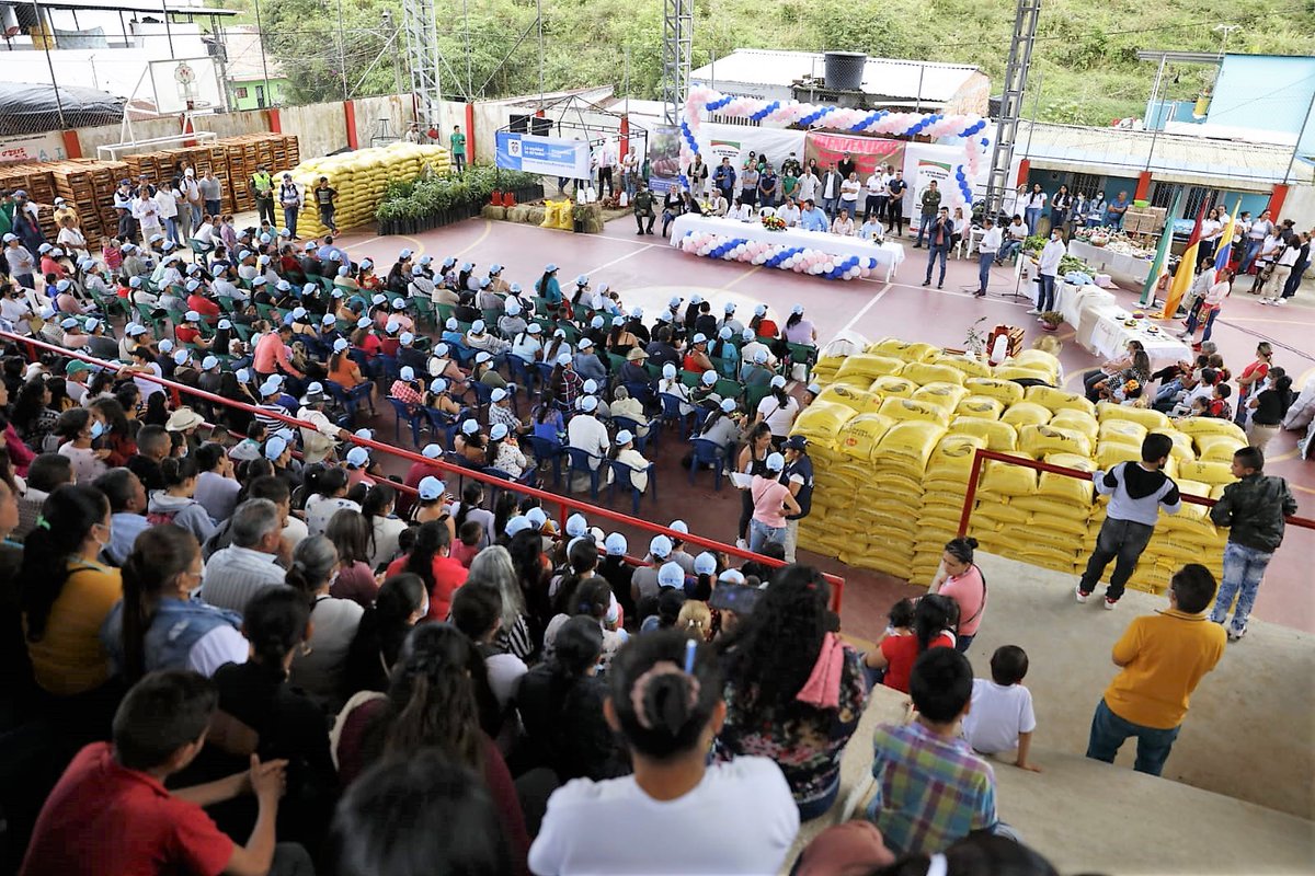 ProsperidadCol's tweet photo. Seguimos llegando con #HechosQueTransformanVidas al #Tolima. El director @PierreGarciaJ lideró la entrega de 6.000 aves a 400 hogares de Alvarado y Palocabildo, que integran el programa #ManosQueAlimentan, en el cual invertimos $2.853 millones para acompañar a 1.820 familias. https://t.co/fT03wCM5WK