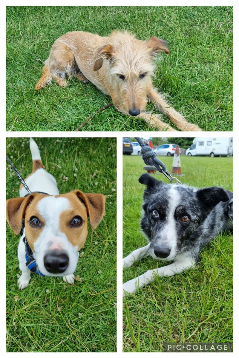 Finishing off #DrowningPreventionWeek  with another #watersafety demo day but in my home town of #Grassington,  supported by my 🚒crew. 
Plenty of people dodging the 🌧 but all in all another great day! 
#RespectTheWater

Of course a few dogos too!