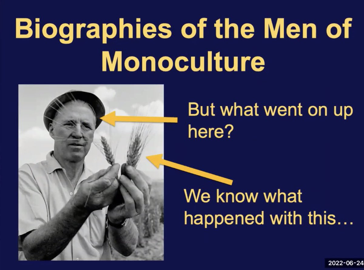 Keynote Frank Uekötter, professor of #envhum @unibirmingham, closes our second conference day historicizing the ambivalences of the #GreenRevolution & resulting inequalities of innovation. He also points to the important role of biographies in writing #globalhistories of food.