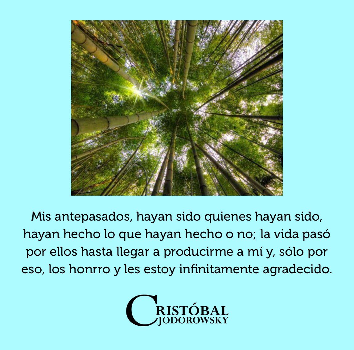 Cristobaljod's tweet photo. https://t.co/msC2QI3o8M