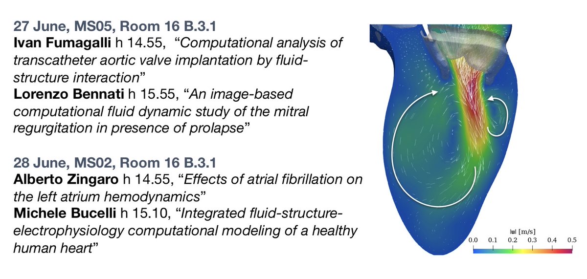 Several talks from the iHEART group will be held during #CMBE22 at @polimi, don't miss them! Here is a list of talks on valves modeling, pathological cardiac hemodynamics and fluid-structure interaction.