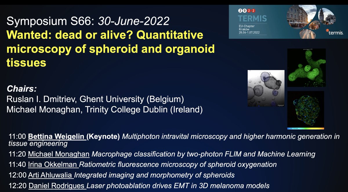 Come to symposium S66 @TermisEU2022 Room S4C, 11 am, 30-June to hear about #quantitativemicroscopy of #spheroids and #3D #twophoton #FLIM #hypoxia #newtools @drmgmonaghan @BettinaWeigelin @PhotoBioLab