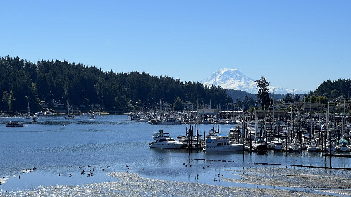 SeattleCityGal's tweet photo. Morning run viewsโฆ the mountain is out. ๐๐ปโโ๏ธ๐
#SoNorthwest
#HelloHeatWave https://t.co/zVEixrki88