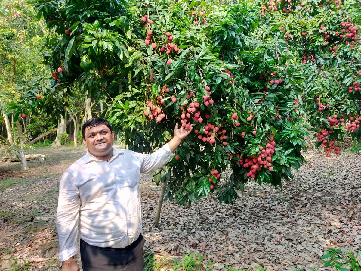 Niraj10529's tweet photo. With queen of fruit #litchee https://t.co/29ET2O1SFz