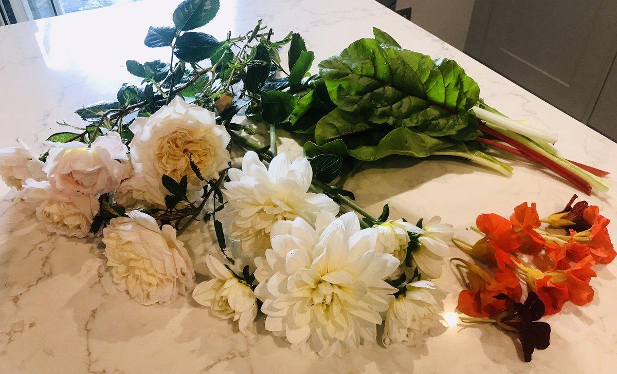 KSPHead's tweet photo. First dahlias of the season plus a little extra from the garden 🌺#Homegrown #wellbeing https://t.co/alBQLCEbkX