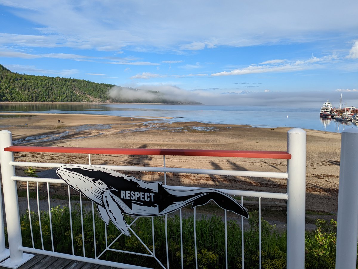 aacolussi's tweet photo. Tadoussac, Québec: June 6 - 10, 2022. Eric and I's first trip to the field was a success! We didn't see any whales but the site maintenance and training went smoothly, so no complaints from me🐳 @SVOCora @VDBChemGroup https://t.co/QEu9f3FsGG