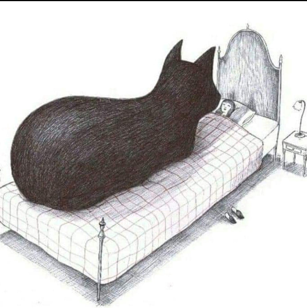 Margie Shafer (@margieshafer) on Twitter photo 