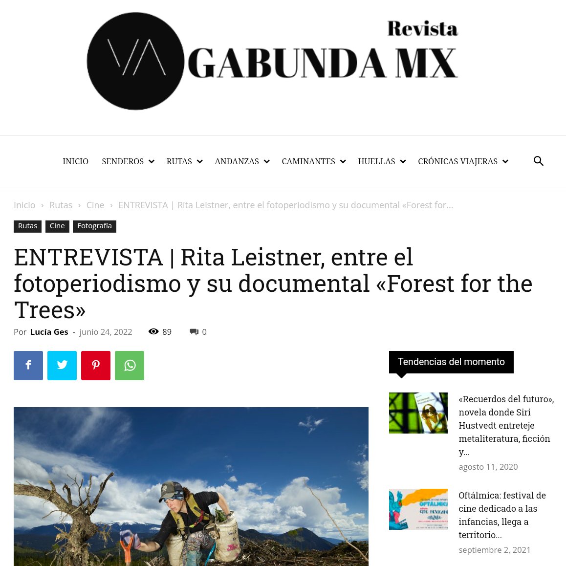 vagabunda_mx1's tweet photo. ENTREVISTA. Platicamos con Rita Leistner (@ritaleistner) sobre su #documental #ForestForTheTrees”, el #Fotoperiodismo y la #Imagen.

En el enlace les contamos lo que nos compartió 
➡️https://t.co/EDhyk07v9x

#Cine #Entrevista #RitaLeistner #MedioAmbiente #VagabundaMx https://t.co/RP0XHaB76O