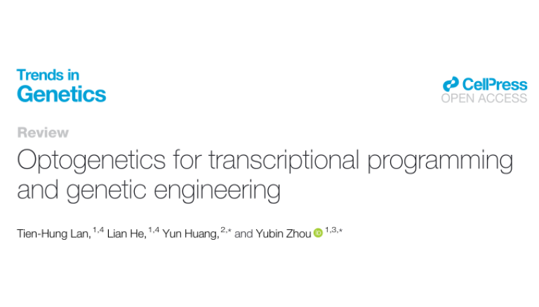 @TrendsGenetics: Summary on the latest progress in applying @optogenetics for transcriptional regulation and genetic engineering by @ibtzhoulab & @Yun_Nancy_Huang | Optogenetics for transcriptional programming and genetic engineering | sciencedirect.com/science/articl…
