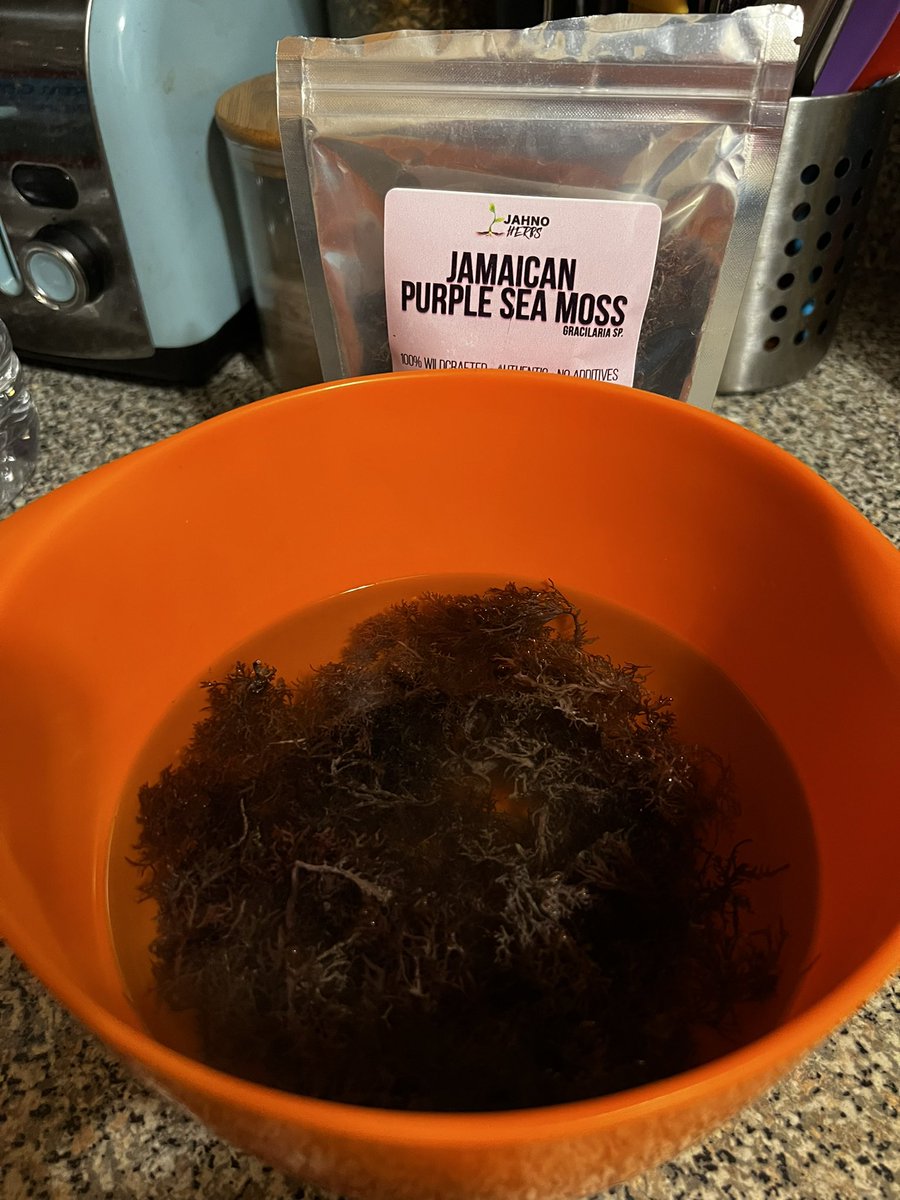 simplykatricia's tweet photo. The first time I tried making sea moss, it didnβt go quite well. Here I go trying again, this time with @jahnoherbs. It smells just like the sea, thatβs a good thing right?! https://t.co/JP8F9hihcB