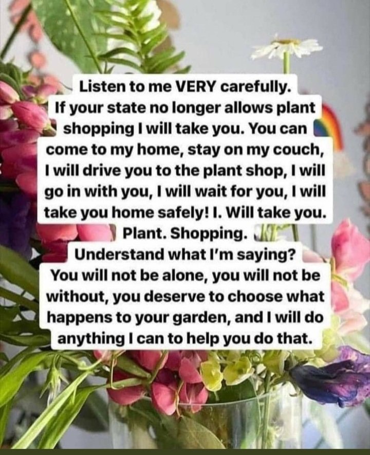 <a href="/sailortaylor11/">abuela taylor</a> A lot of states are criminalizing  "aiding and abetting." Money, food, shelter, transportation. Offer instead to take at-risk people "shopping."