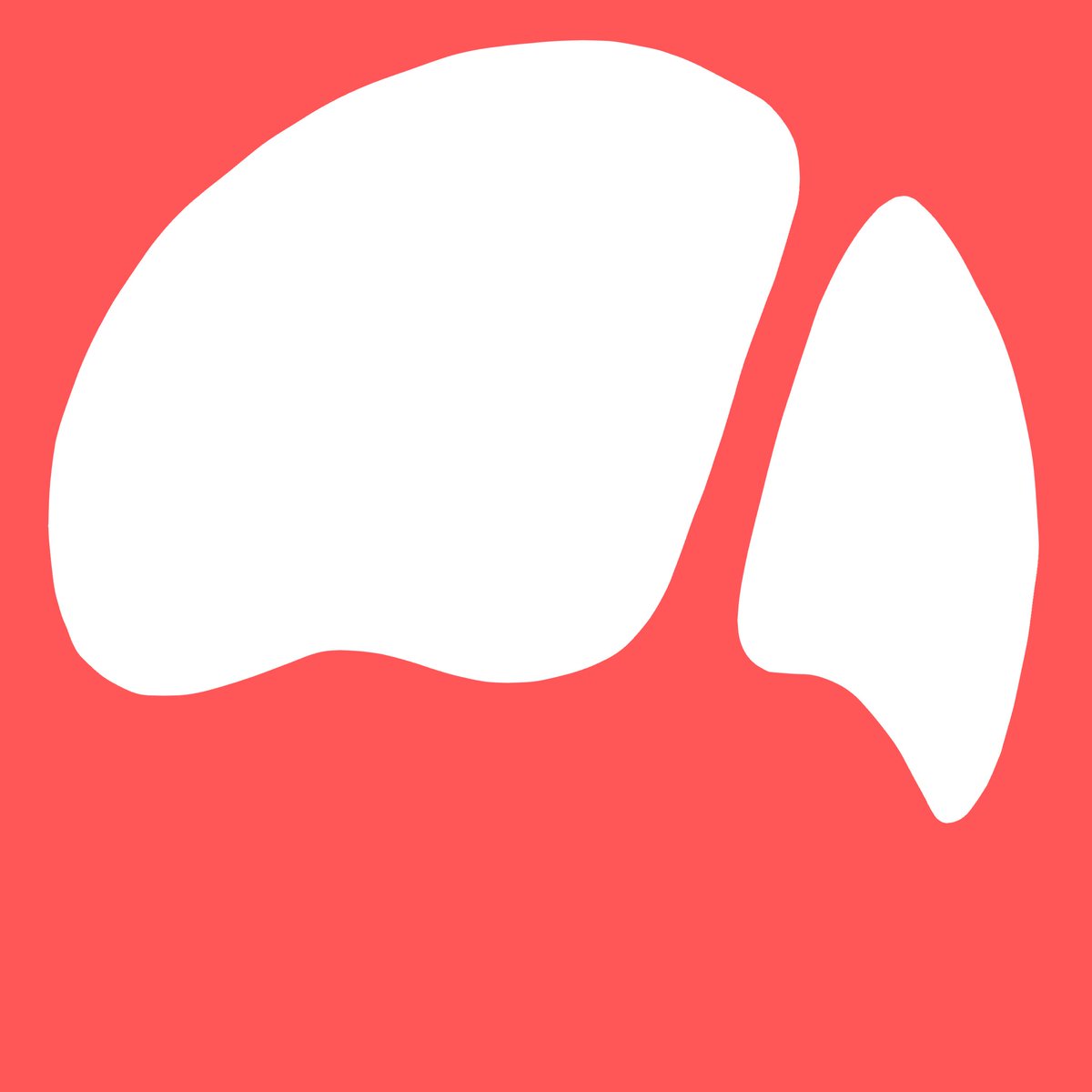 Snowbirds tweet media