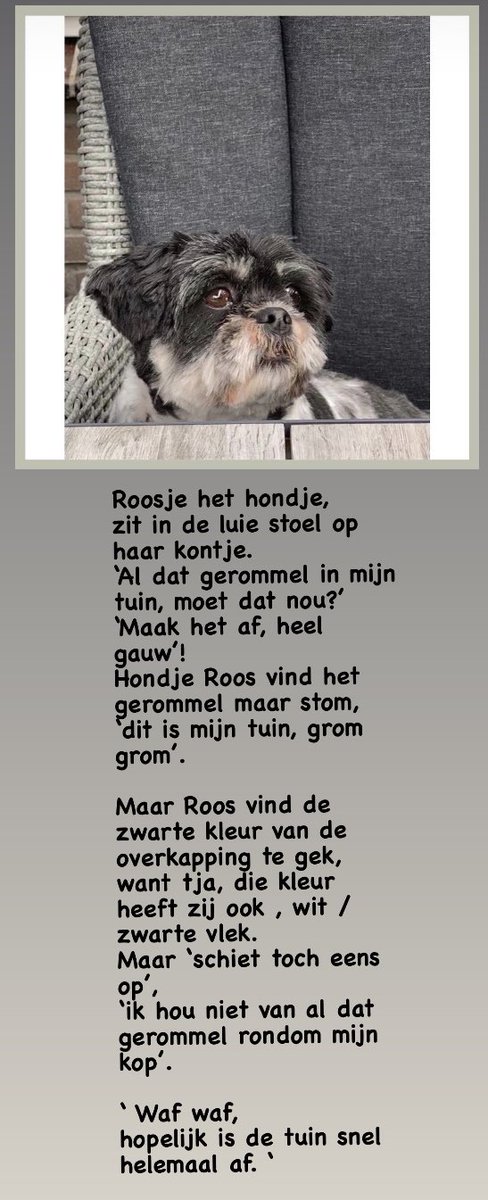 beadankelman's tweet photo. #RoosjeHetHondje #tuin #gerommel #overkapping #afwerking https://t.co/jAAa78TdTh