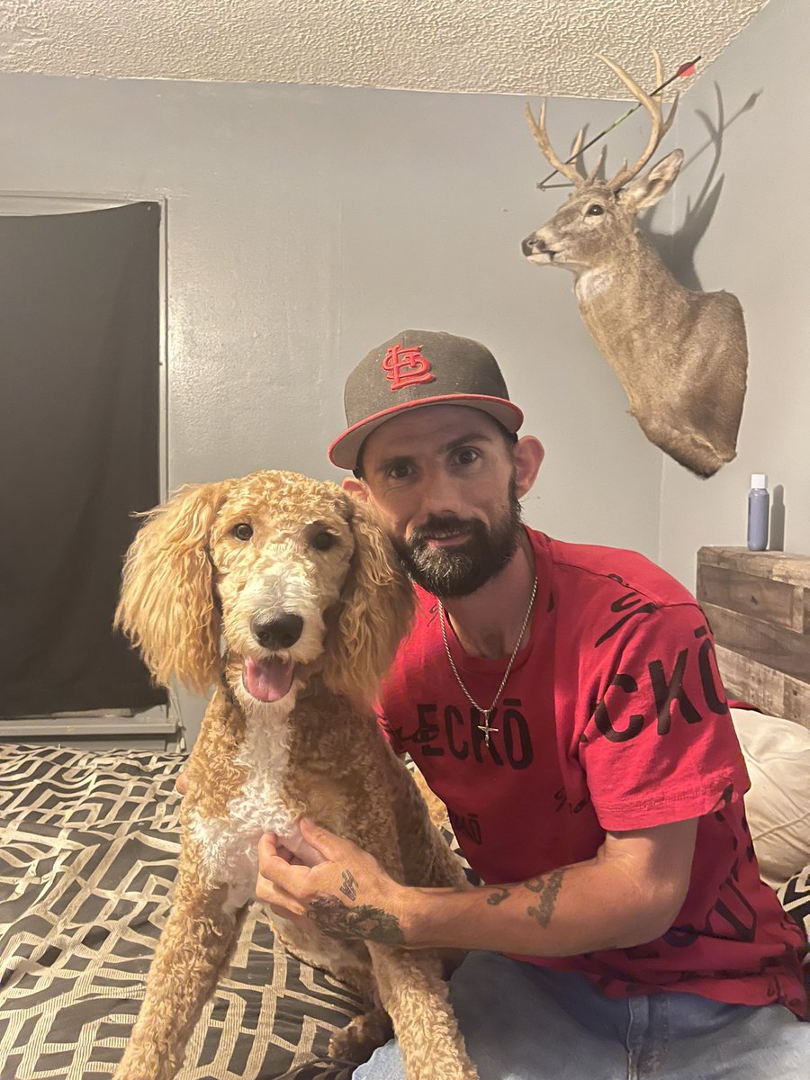 TimFull10463925's tweet photo. Mr.Benson got a fresh grooming that was much needed! He’ll stay a lot cooler now. 🐶🐾#goldendoodle #mansbestfriend @PETS__USA https://t.co/BclK5g3Vme