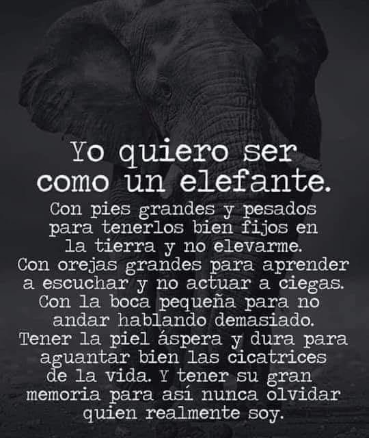 #OSINT. #Alejandhra tweet media