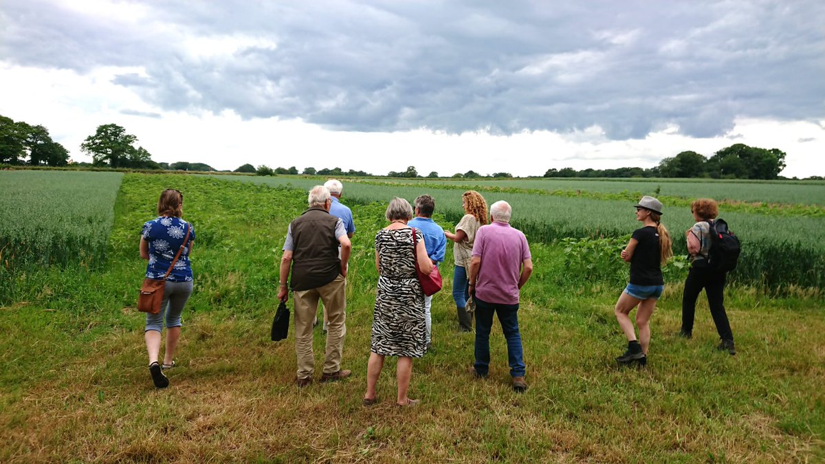 Rondleiding voor de Vrienden van Twickel langs de strokenteelt op de Deldeneresch. Thema: effect van strokenteelt op de natuur, samenwerking met collegae boeren en streekproducten met een eerlijke prijs voor de boer.
#twickel #delden #strokenteelt #natuurinclusief #streekproduct