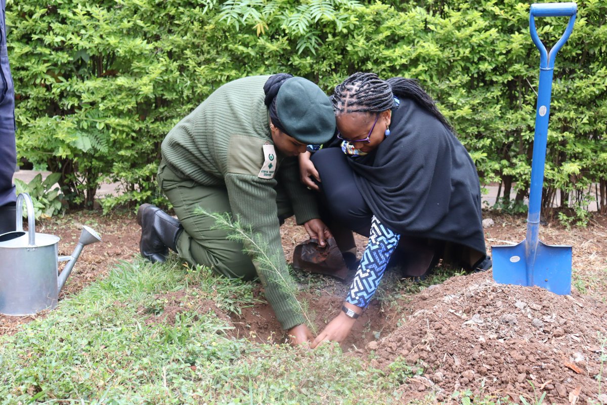 SOSCVKenya's tweet photo. Happy #SOSDay!
Yesterday, our partners and friends are celebrating the day when our founder Hermann Gmeiner who would have been 103 years old today, was born.
Thank you
#NCBA
#BataKenya
#TotalEnergies https://t.co/LvDPoFqJsb