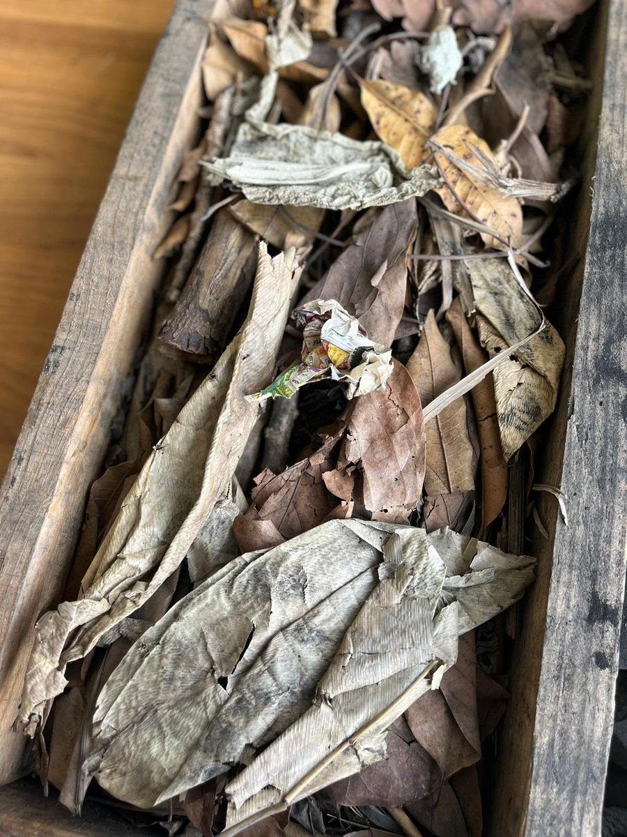 akpwabot's tweet photo. Ultime étape de #fieldwork à PNR avec la coopérative #Wumela soutenue par @PNUDRepduCongo pour la fabrication du #biocharbon made in 🇨🇬. #innovation de lutte contre la #deforestation et l'insalubrité.
👉https://t.co/cGZ3GOrlF2
@maleye_diop @NabouDiaw1 @UNDPAccLabs @EnvDDBC_GouvCg https://t.co/ZwIQdEA4hn