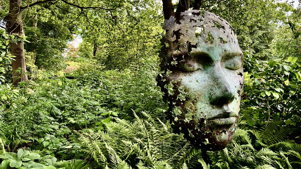 Momolito's tweet photo. Passeggiare nel verde dei Kew Garde con @PaoloSaracco https://t.co/wI6WDJI3Z9