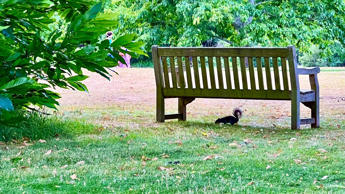 Momolito's tweet photo. Passeggiare nel verde dei Kew Garde con @PaoloSaracco https://t.co/wI6WDJI3Z9