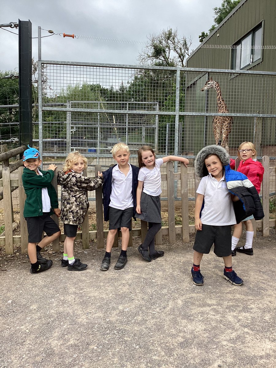 CFS_Goldfinch's tweet photo. An epic trip to Noah’s Ark Zoo Farm. I am so proud of all the children in Goldfinch class. Super work. Video to follow soon! 🐛🦓🦒🐫 https://t.co/B2iN5RVp4Y