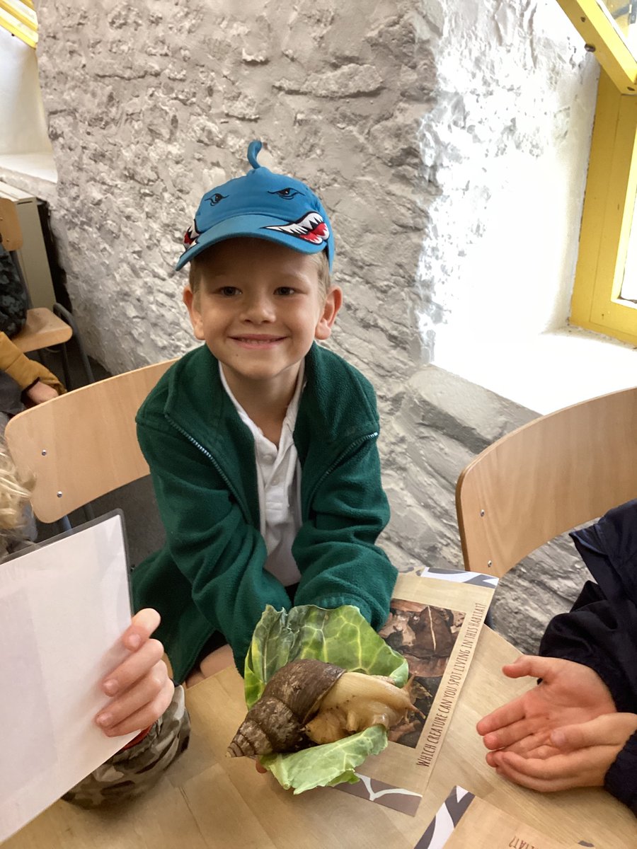An epic trip to Noah’s Ark Zoo Farm. I am so proud of all the children in Goldfinch class. Super work. Video to follow soon! 🐛🦓🦒🐫