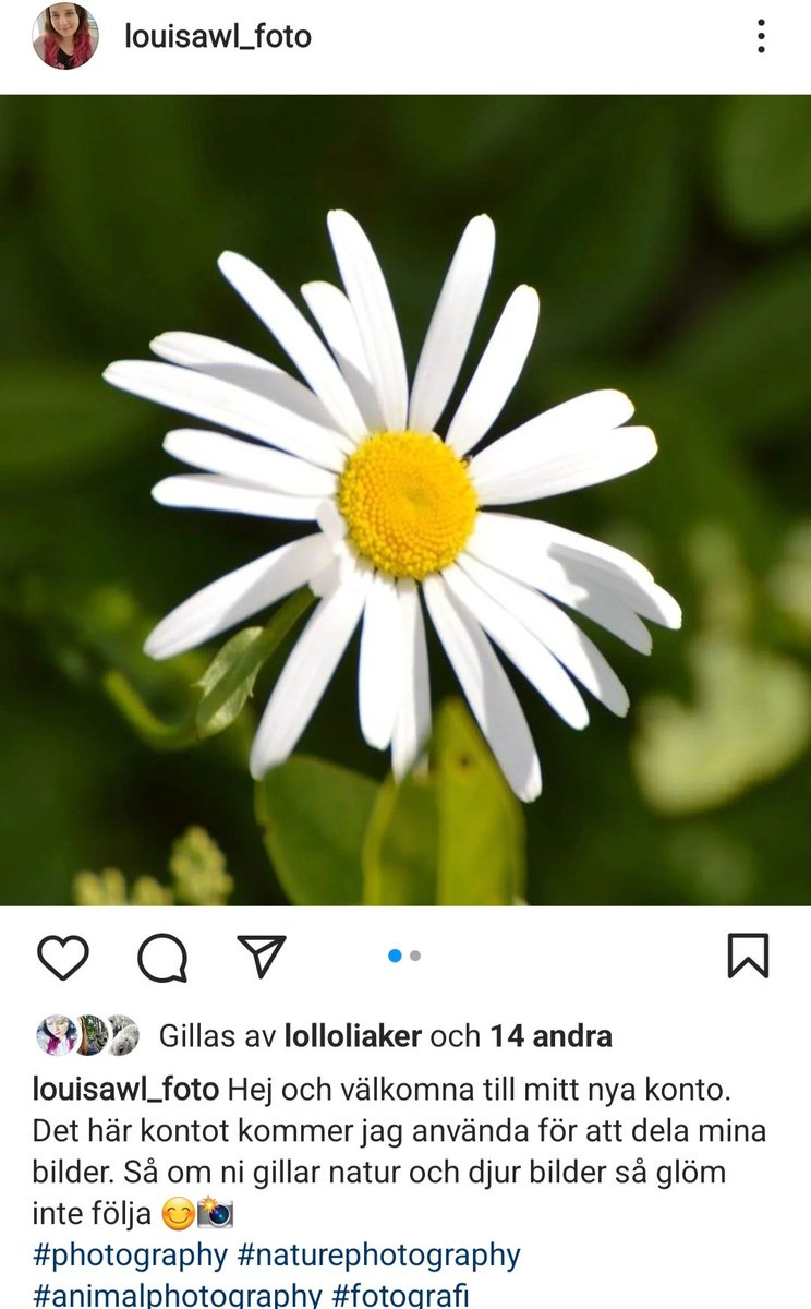 BlueBlue96yo's tweet image. I have created an account on insta for my photographs - would be really happy if you'd give it a follow! 😊 📸 louisawl_foto 📸