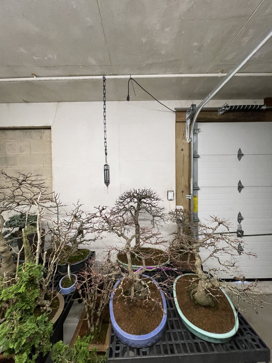 ManleyElectric's tweet photo. Mixing plants &amp; power on this past project https://t.co/6LnaLgLE4d
