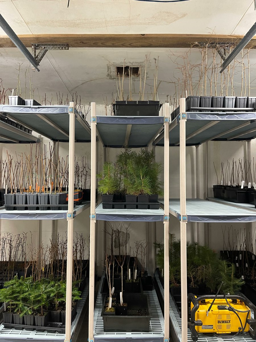 ManleyElectric's tweet photo. Mixing plants &amp; power on this past project https://t.co/6LnaLgLE4d