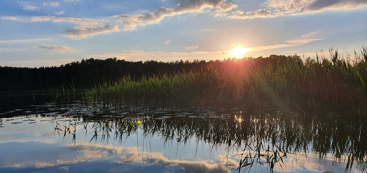 VKacergiene's tweet photo. Sunset on the lake
#sunsetparadise #sunsetphotography #Summer #lakephoto #landscapephotography #naturelovers #Reflections https://t.co/sSjcVs8zUE