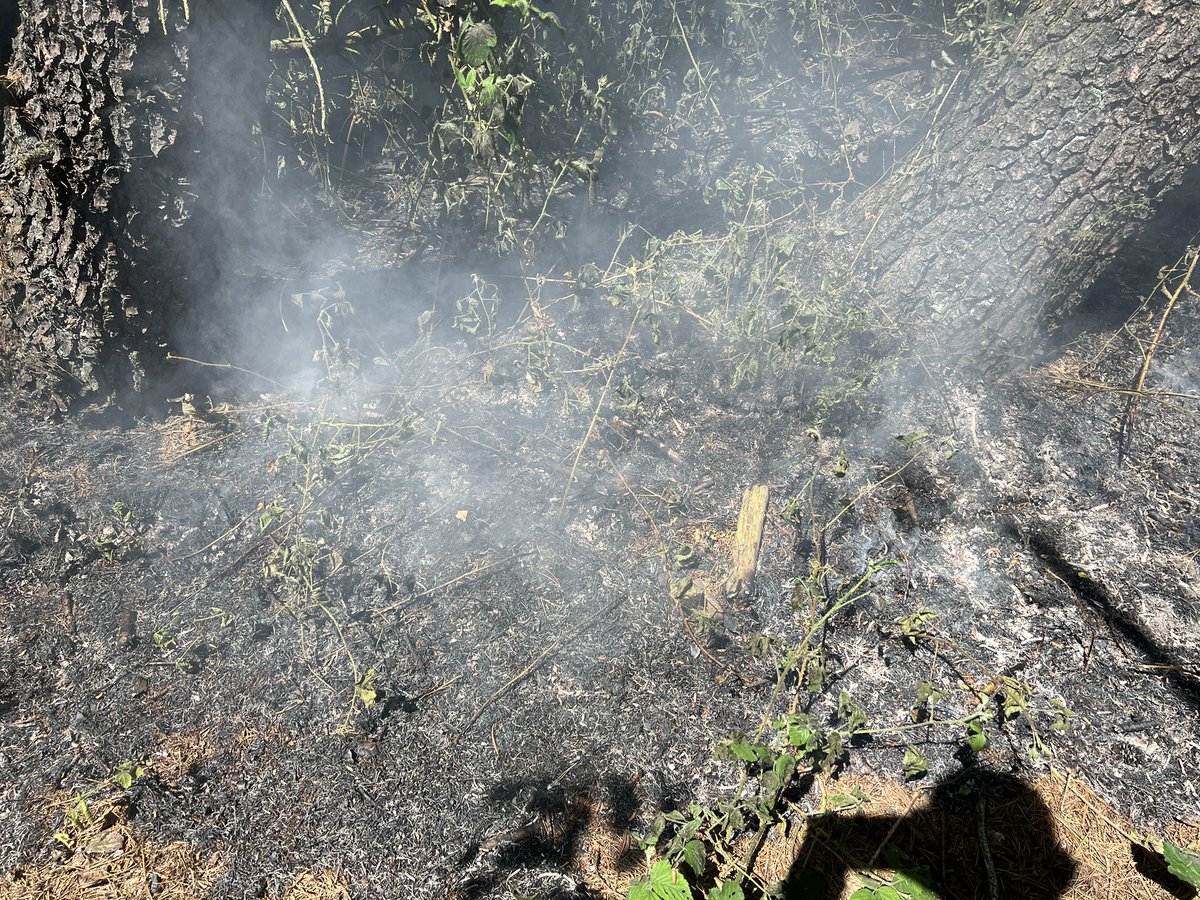 sc7138's tweet photo. Whilst conducting high visibility patrols at Winscar reservoir on the outskirts of #Barnsley, 7201 &amp; I noticed a fire in a wooded area which spread due to wind and the dry weather. Thanks to @SYFR for attending and preventing further damage. #barnsleyisbrill #specialcontribution https://t.co/VapT1E6Yah