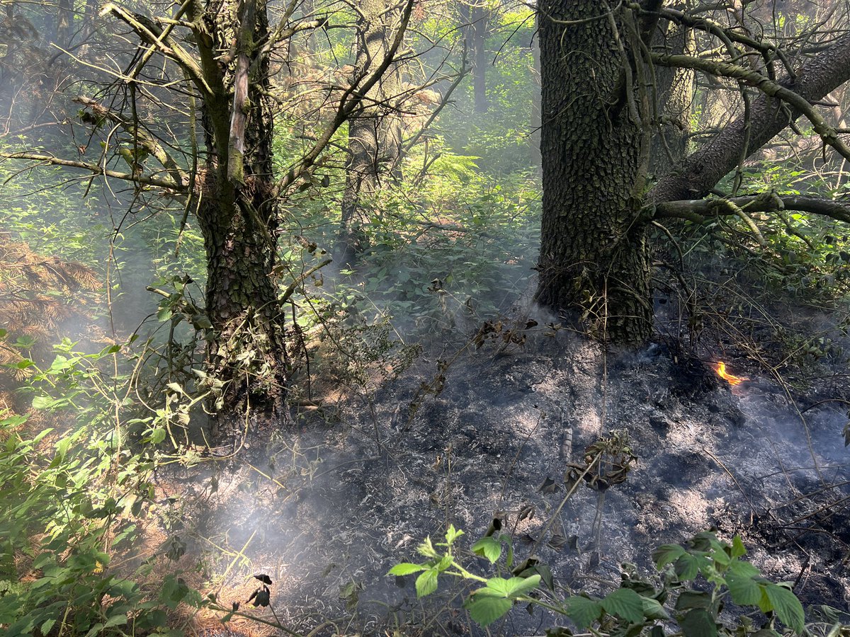 sc7138's tweet photo. Whilst conducting high visibility patrols at Winscar reservoir on the outskirts of #Barnsley, 7201 &amp; I noticed a fire in a wooded area which spread due to wind and the dry weather. Thanks to @SYFR for attending and preventing further damage. #barnsleyisbrill #specialcontribution https://t.co/VapT1E6Yah