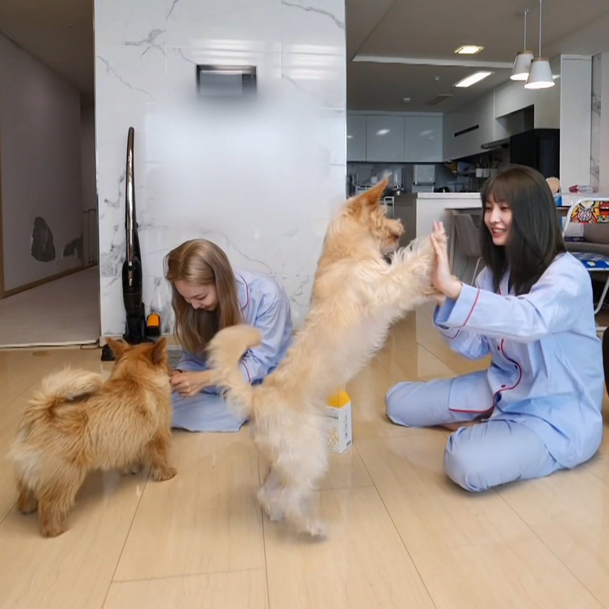 tiny_momo tweet picture