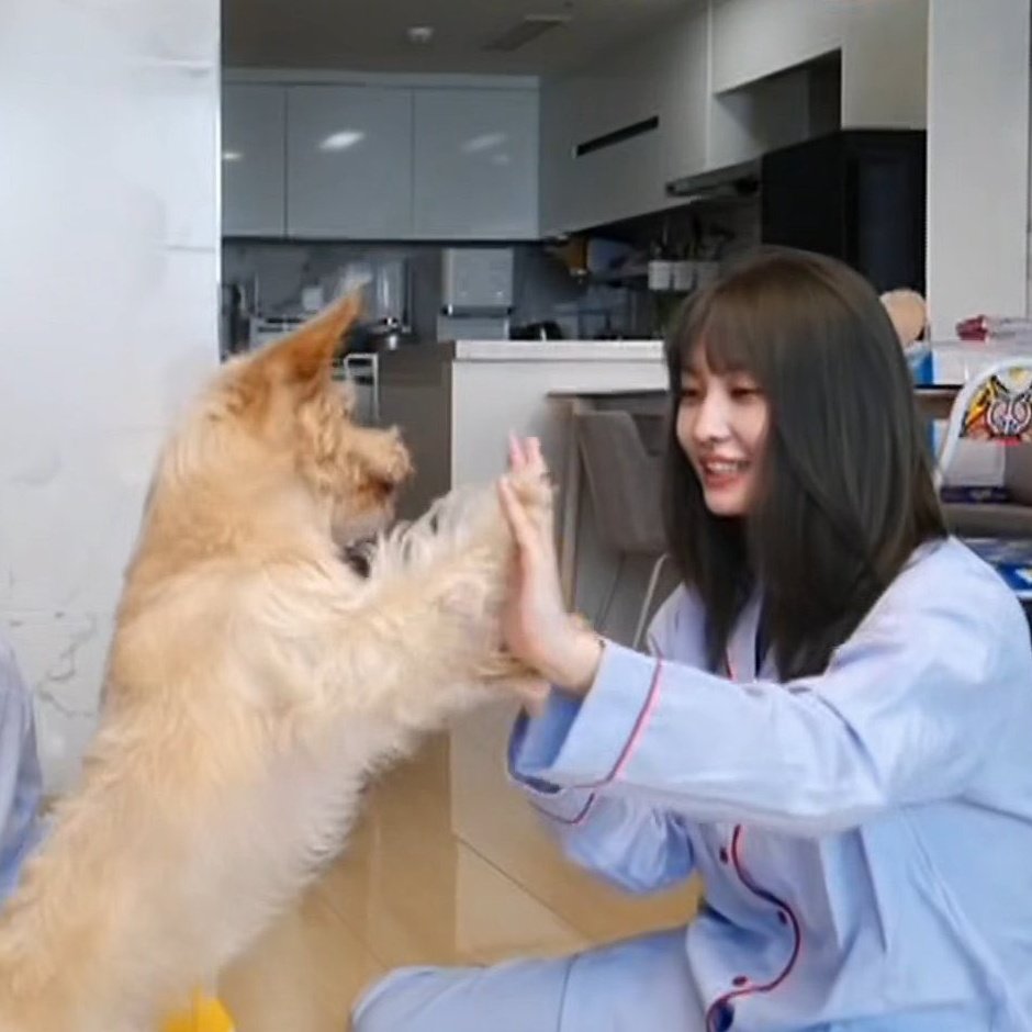 tiny_momo tweet picture