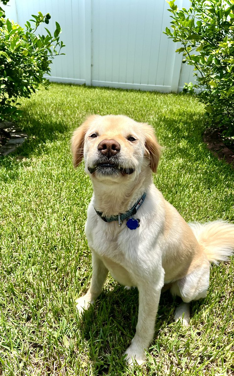 I think he’s trying to smile? 🤣🤣🥴🥴