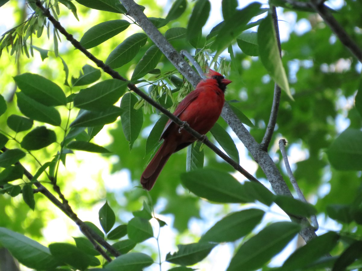 PLKlein_Author's tweet photo. "I avoid looking forward or backward, and try to keep looking upward." ~ #CharlotteBronte #QuickQuotes #ThinkBIGSundayWithMarsha #SaturdayMotivation #ThinkingOutLoud #LookingForward #LookingBackward #LookingUpward https://t.co/PNWOQHBOQL