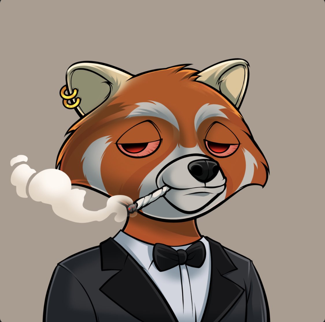 LibrarianDg's tweet photo. @AnthonyComenda @RaccoonRampage_ Nice @RaccoonRampage_  #RAGMI https://t.co/oWD72R0mmM