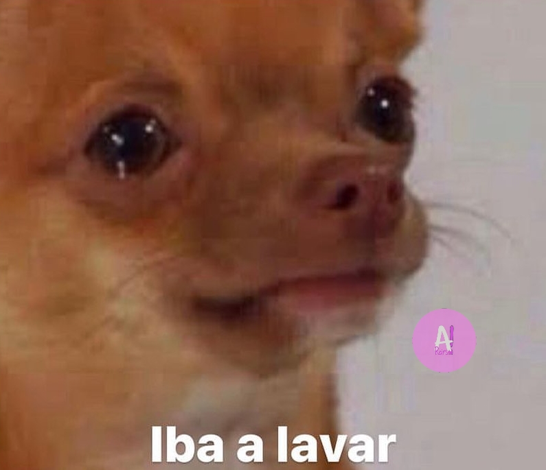 elespacioviral's tweet photo. -Otra vez la lluvia ha arruinado mis planes
- ¿Ibas a salir?
- https://t.co/NOTKPrCKzK