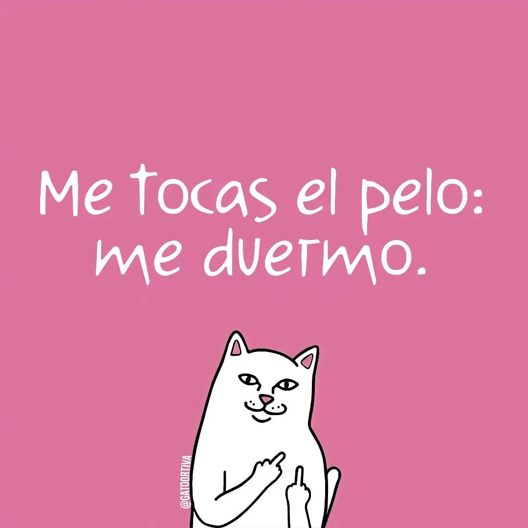 Gato Ortiva (@elgatoortiva) on Twitter photo 