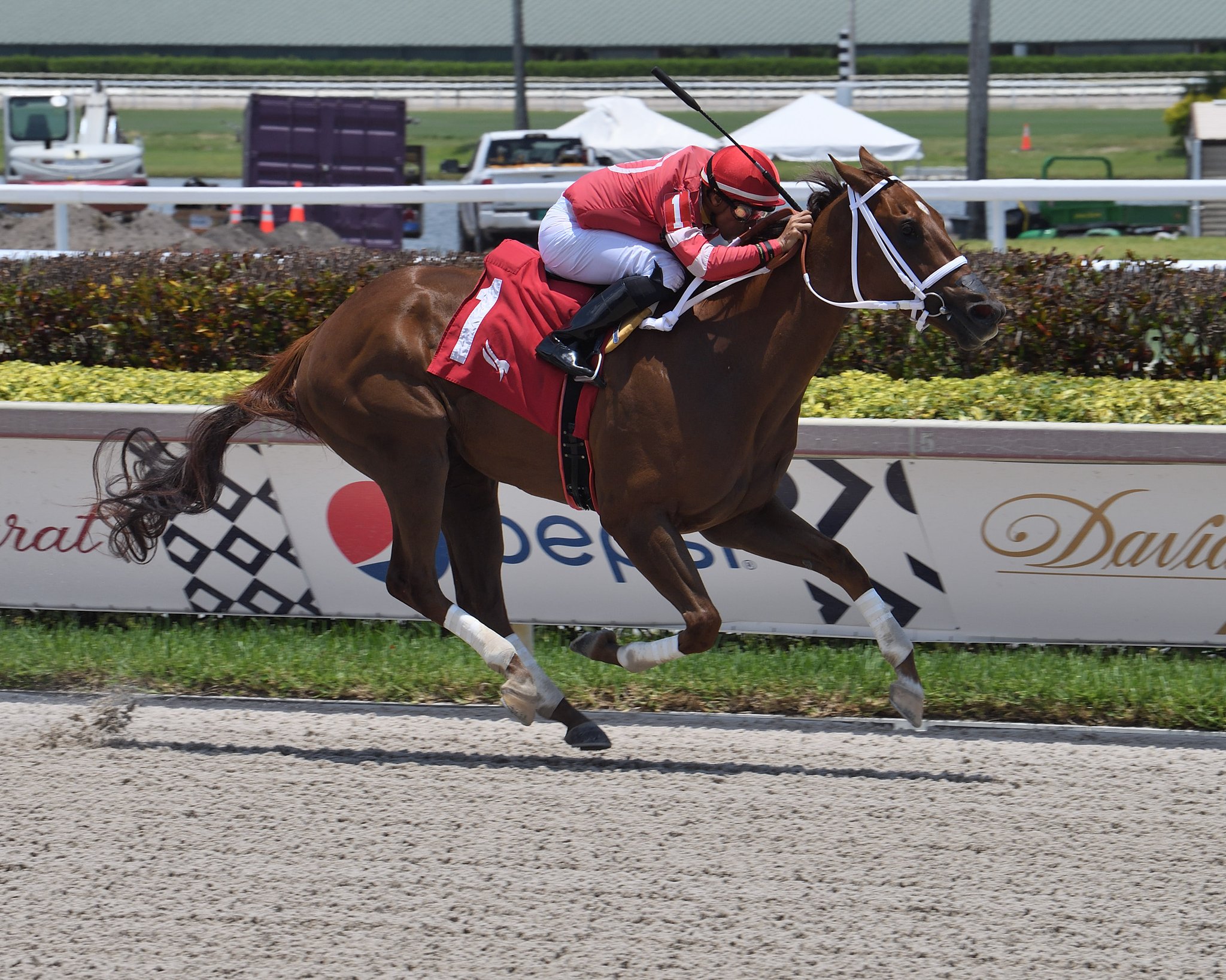 Gulfstream Park Horse Race Results - wd4g13w