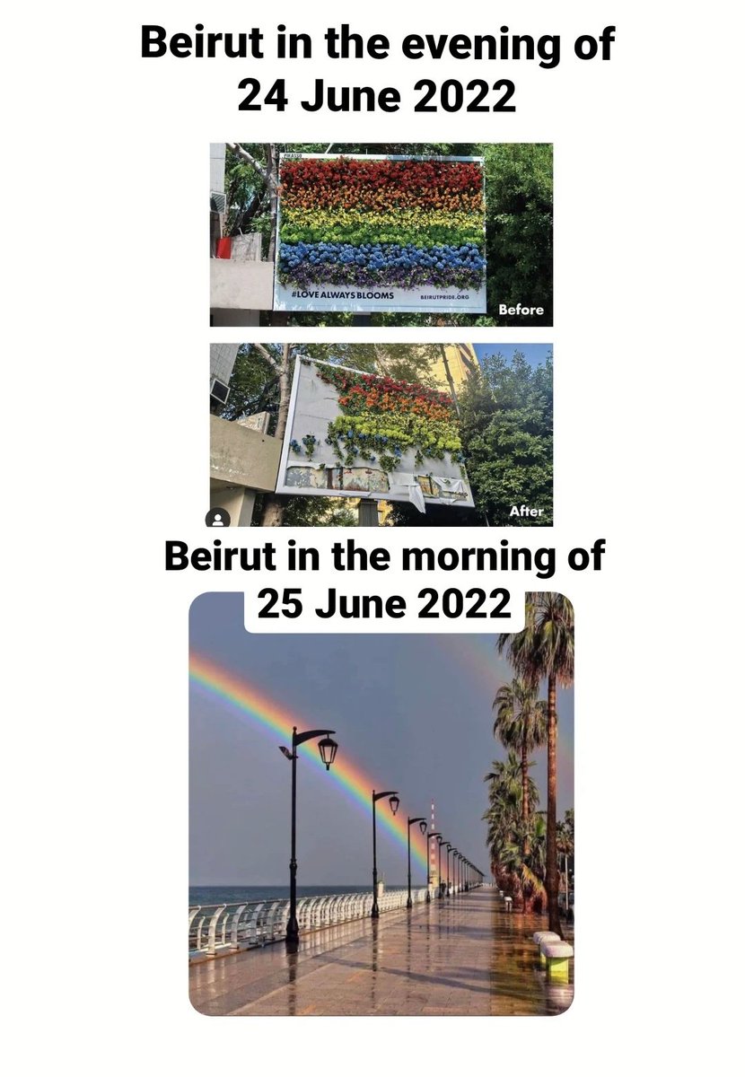 HaidarDarwish_'s tweet photo. will forever be one the most Based moves nature has ever done
#الى_الشارع
#نحن_هنا🏳️‍🌈 https://t.co/3KWEydt1HQ
