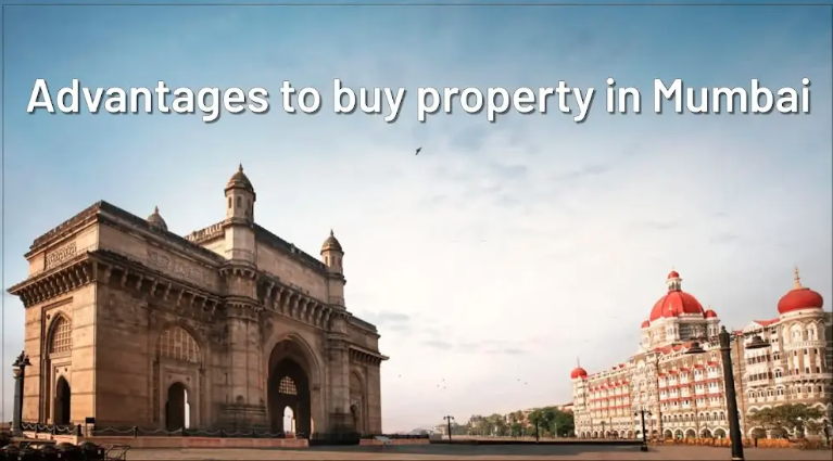 CloudEkas's tweet photo. Advantages of Buying Property in Mumbai
https://t.co/8OFsACjwZY
#home #maharashtra #trending #house #buyhome #pune #dreamhome #realtor #mumbai #investment #investors #investing #homebuying #realestate #buyertips #buyahome #housesearch #Thane #mumbairain #property #sundayvibes https://t.co/sBLAMrSJK8